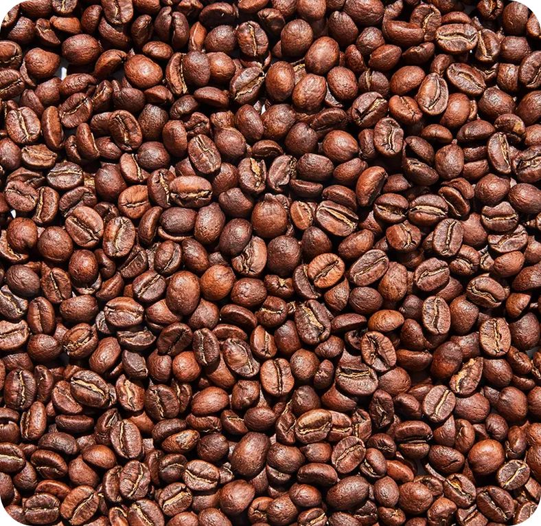 Gambar Analisis Biji Kopi